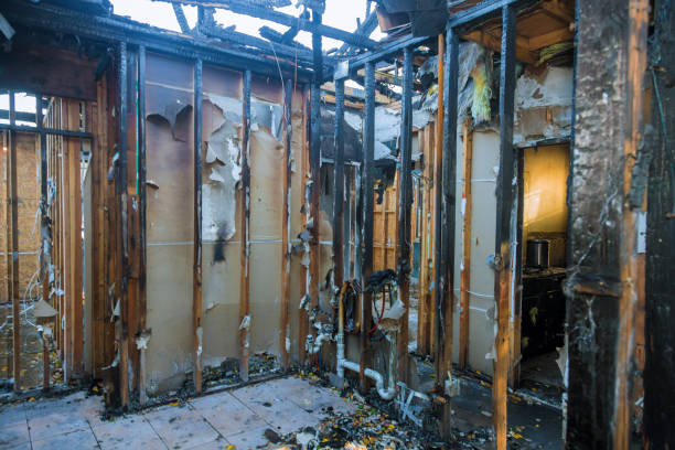 Professional Fire Damage Removal technician working in Salisbury, MD